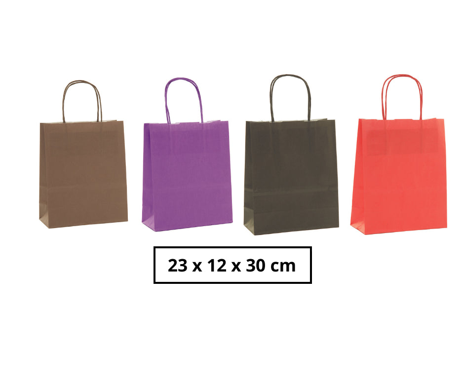 Bolsas de Papel con Asas Colores Oscuros 30 cm.