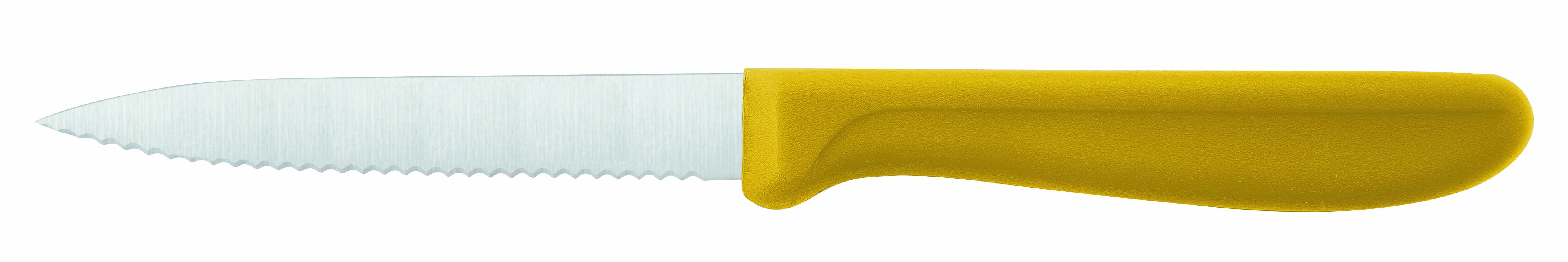 Cuchillo de Cocina de Sierra 10 cm