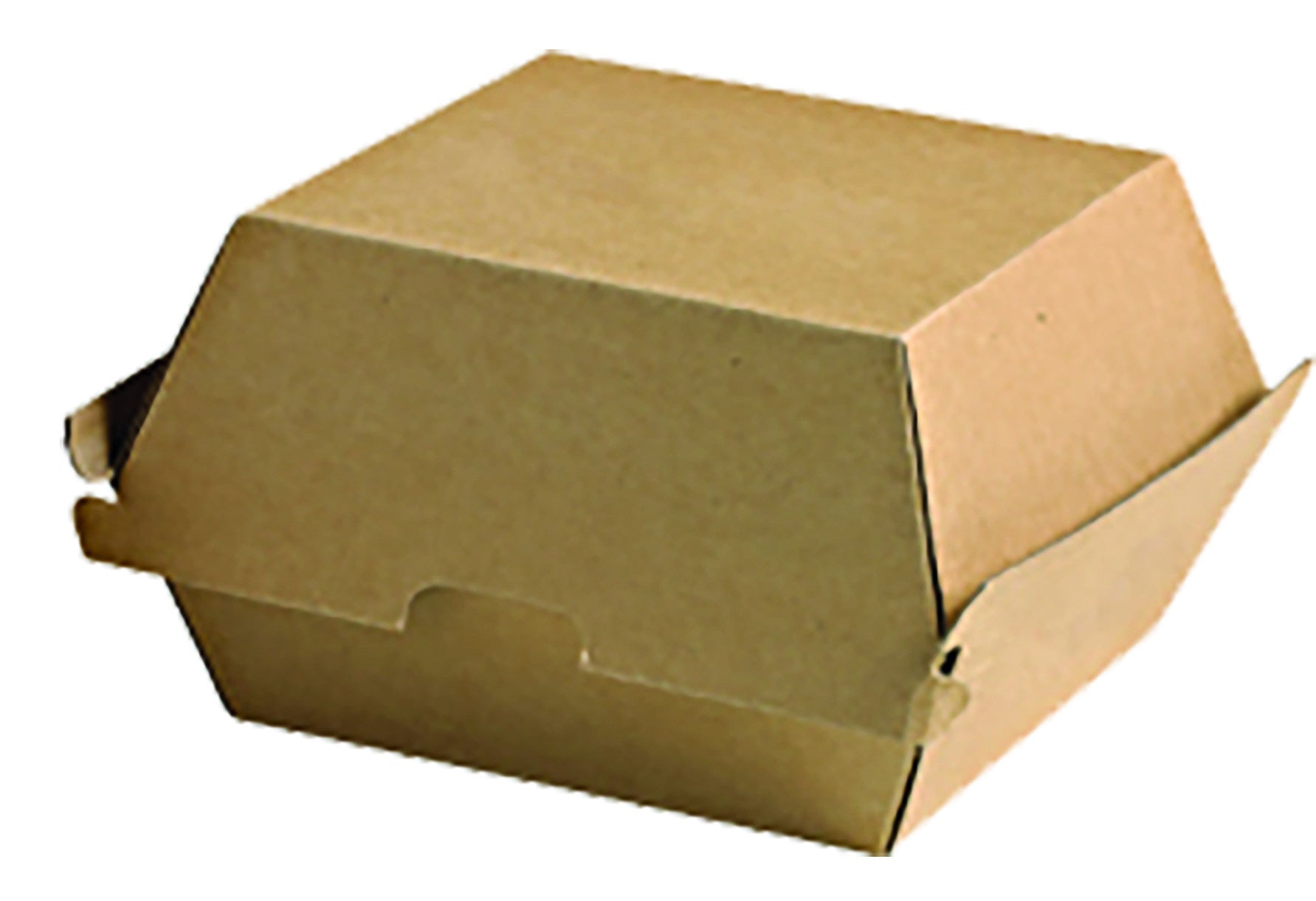 Caja de Cartón para Comida Rápida