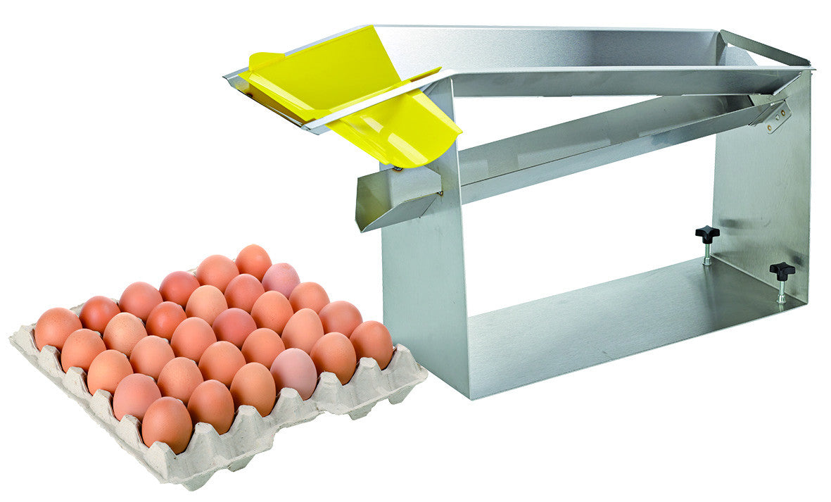 Separador de Huevos Industrial para Hostelería