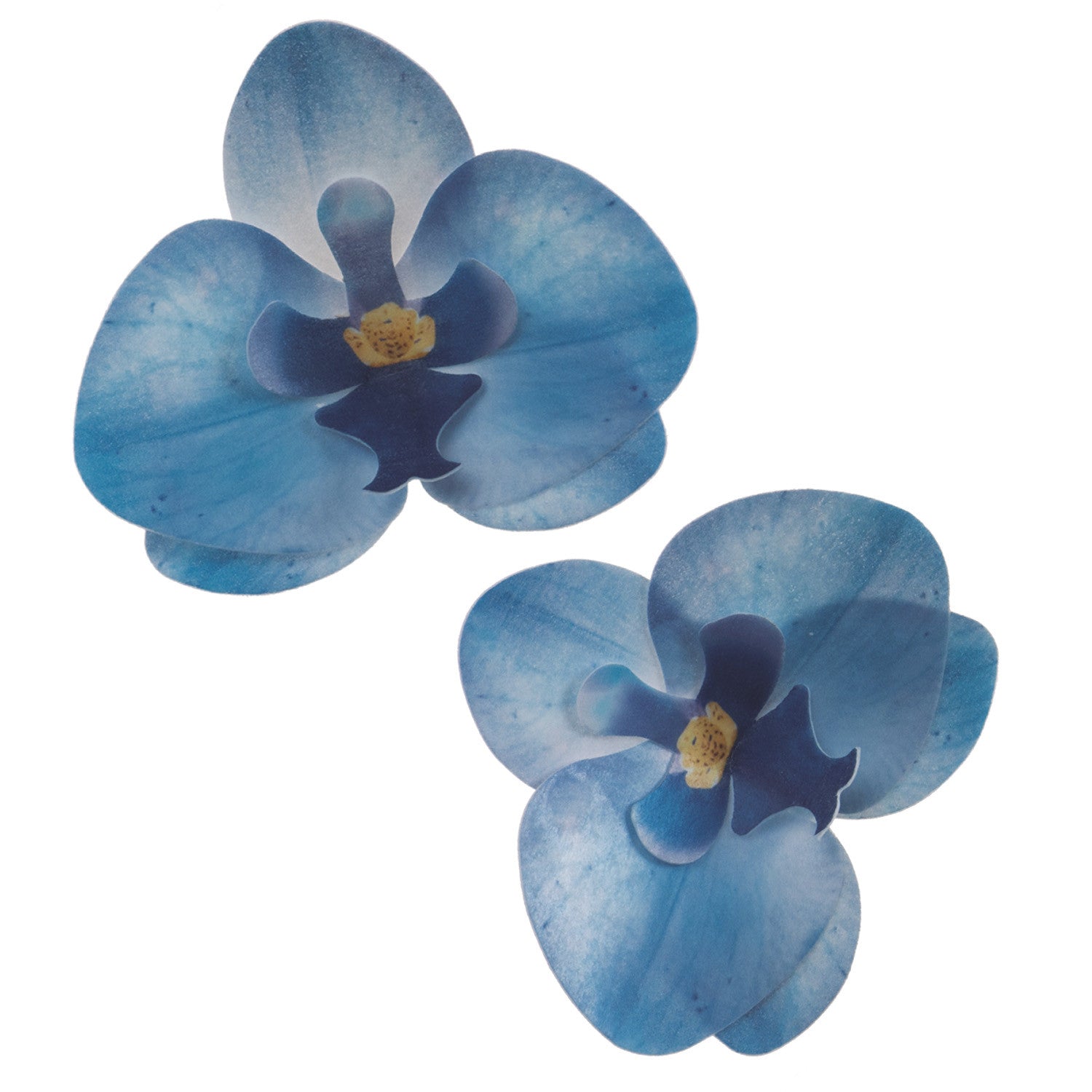 Orquídea Azul de Oblea 10 uds. ✿