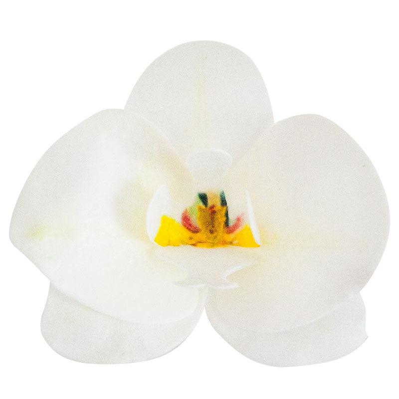 Orquídea Blanca de Oblea 10 uds.