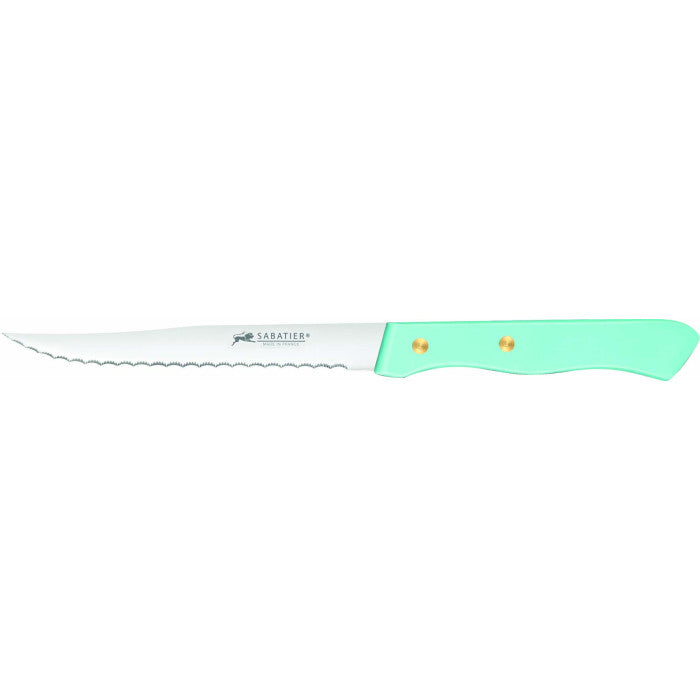 Cuchillo para Carne de Colores 11,5 cm